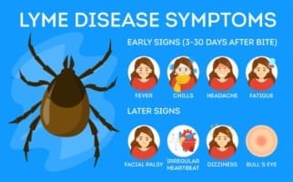 Lyme disease symptoms. early signs three to thirty days after bite. fever, chills, headache, fatigue. Later signs. facial palsy, irregular heartbeat, dizziness, bull's eye on skin.
