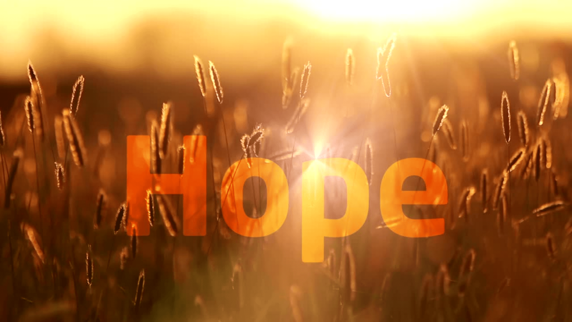Hope